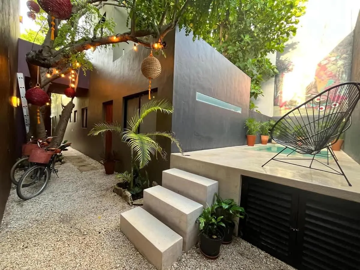 Sweet Apartment Tulum Town Great Pool Holiday home